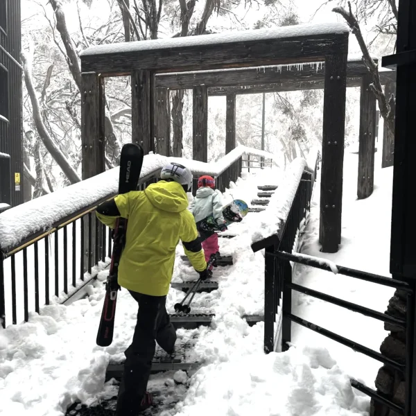 mount buller day tour from melbourne