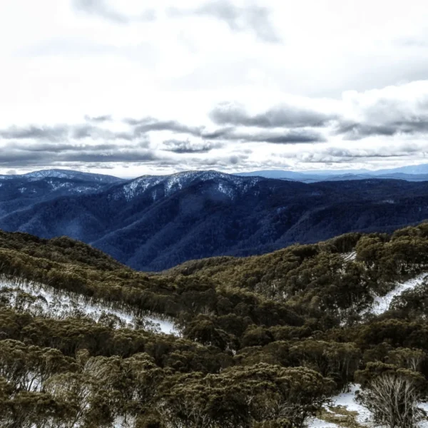 mount buller day trip