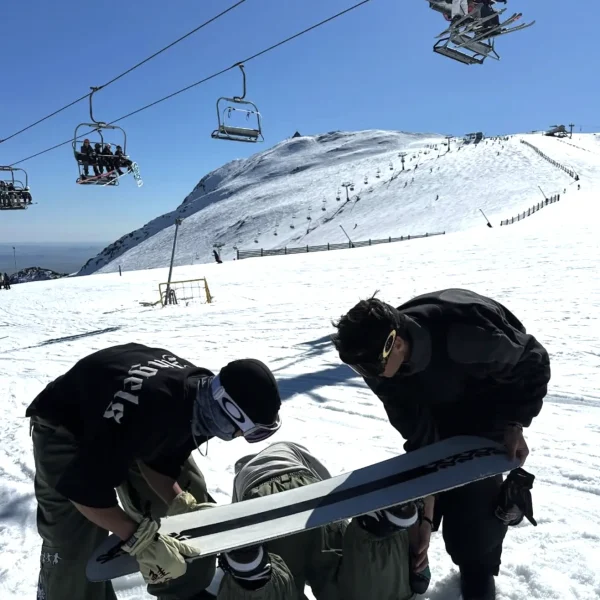 mount buller public tour