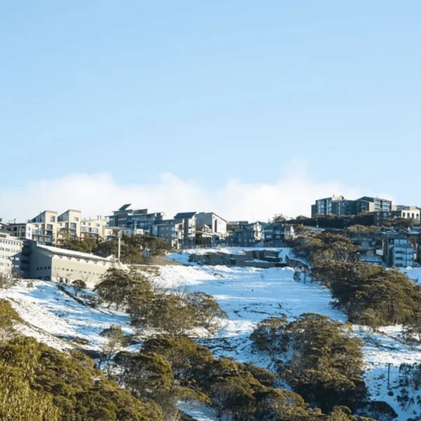 mt buller day tour from melbourne