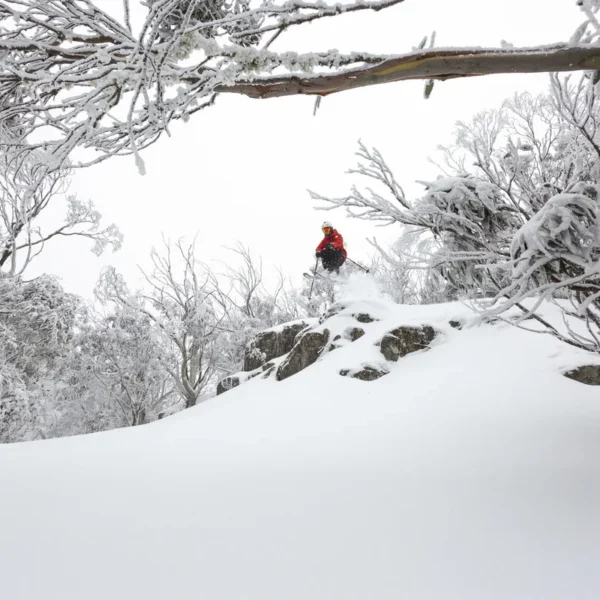 mt buller day trip from melbourne