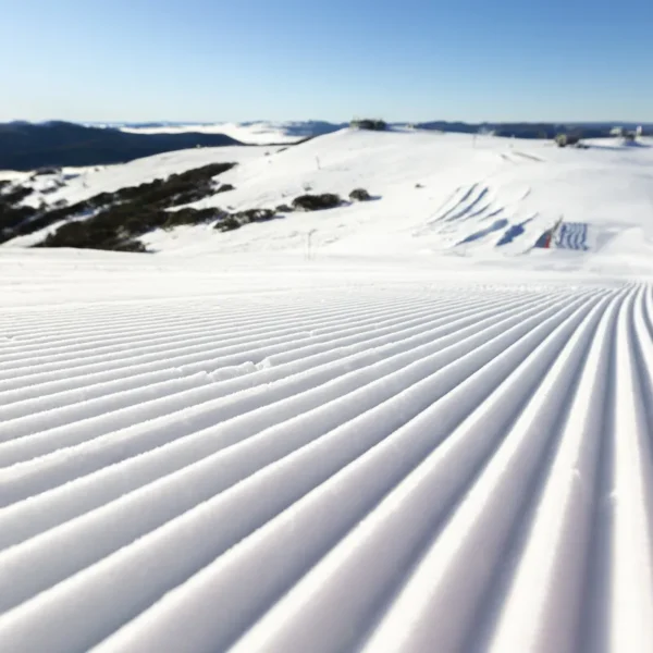mt buller day trips