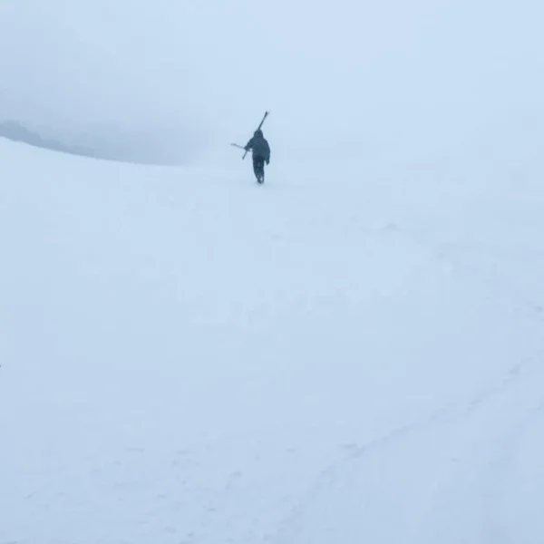 mt buller one day tour