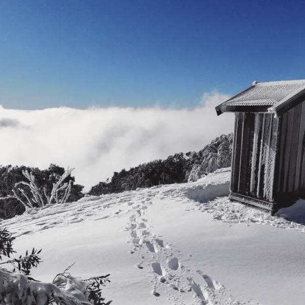 mt buller snow trip