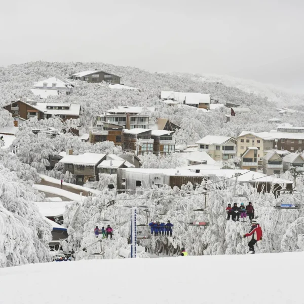 mt buller tours from melbourne