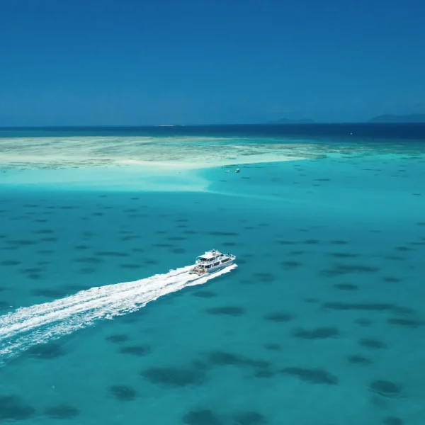 multi day queensland coastal tour