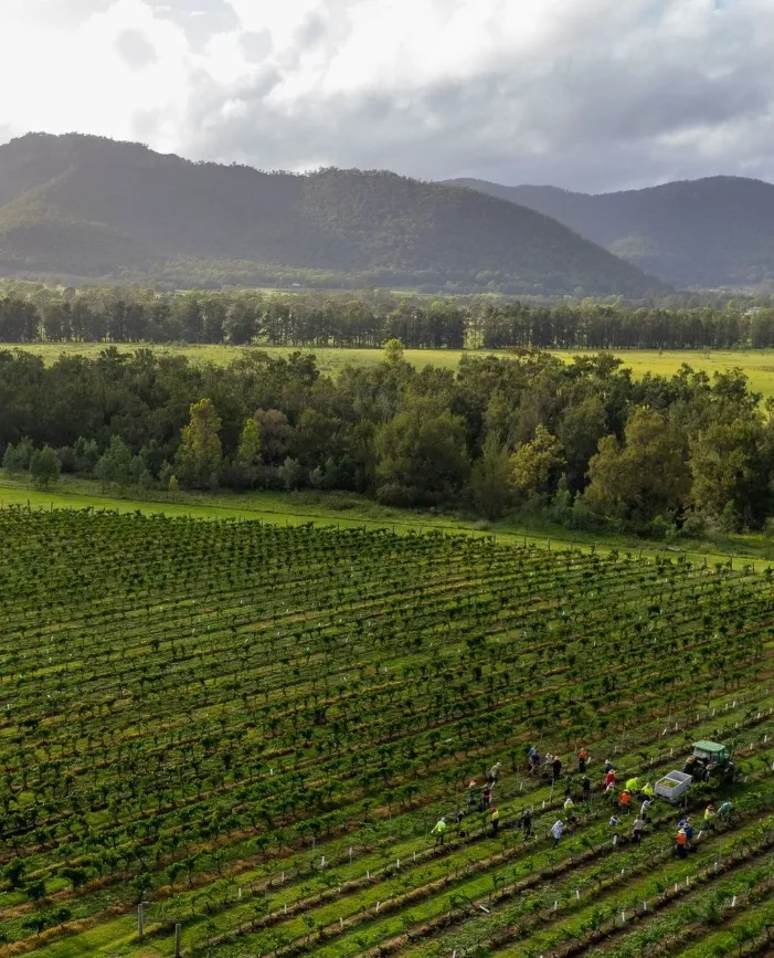 new south wales things to do