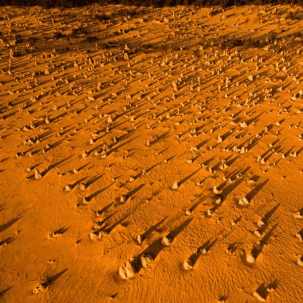 perth to pinnacles day trip
