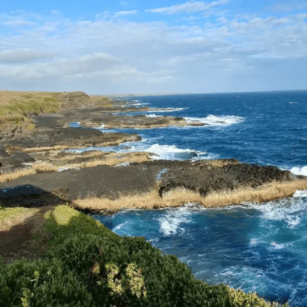 philip island day trip