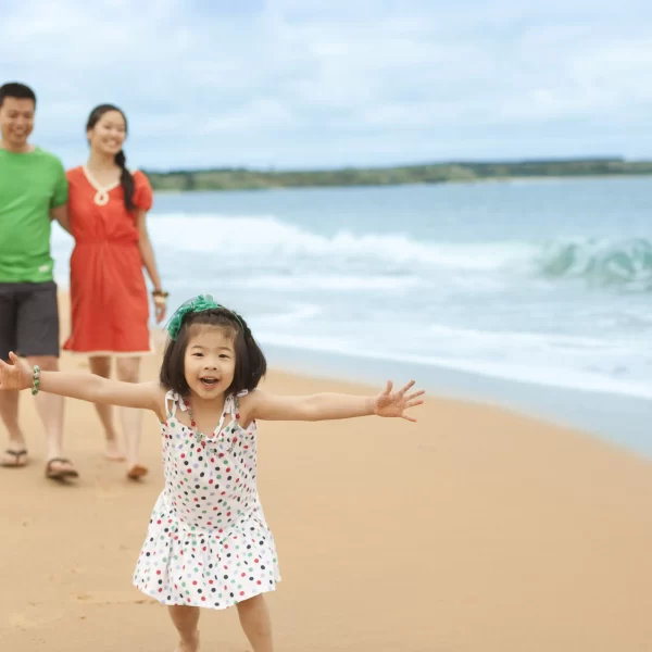 philip island tours