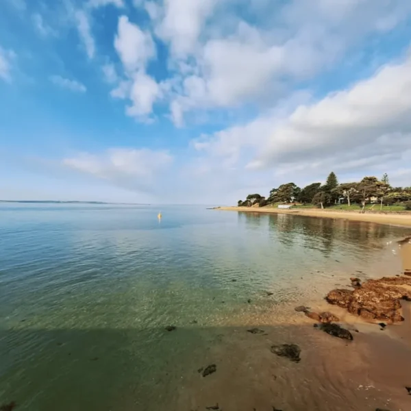 phillip island day tours