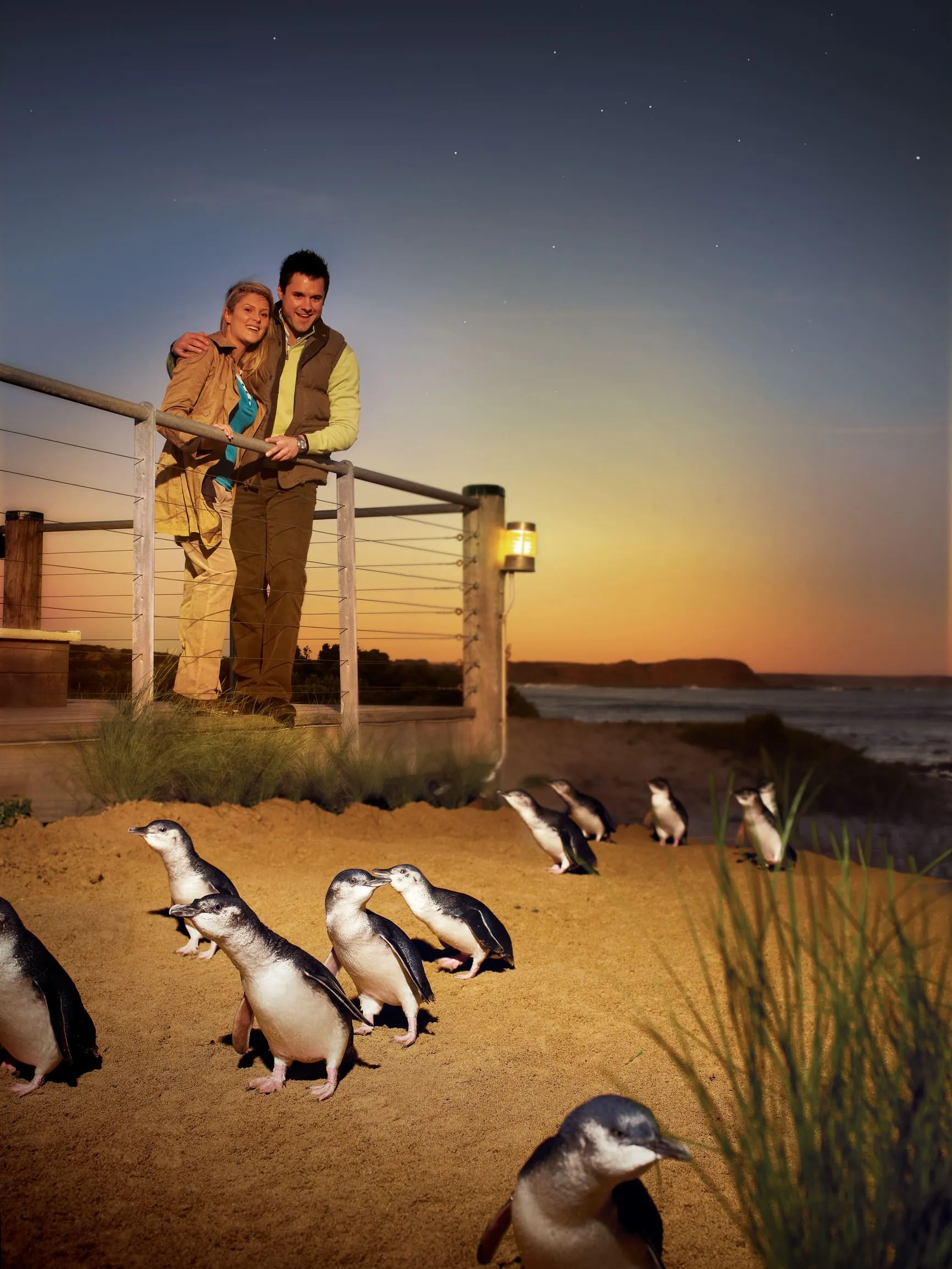 phillip island things to do