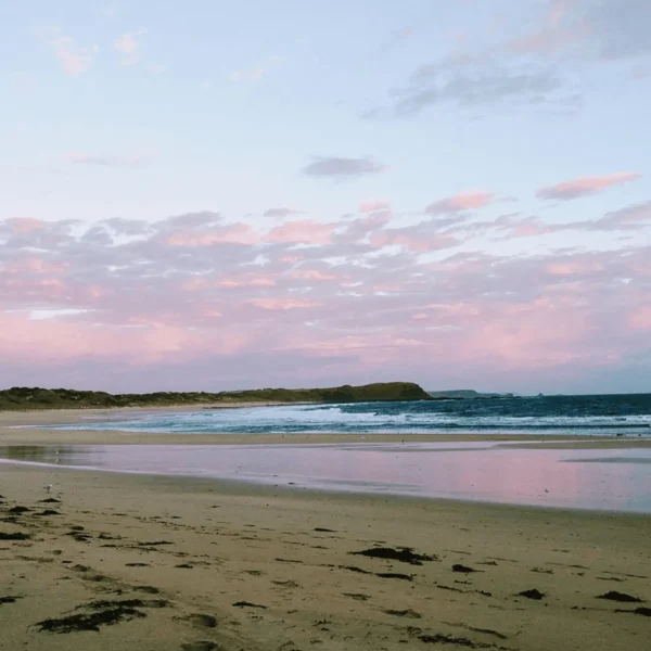 phillip island tours australia