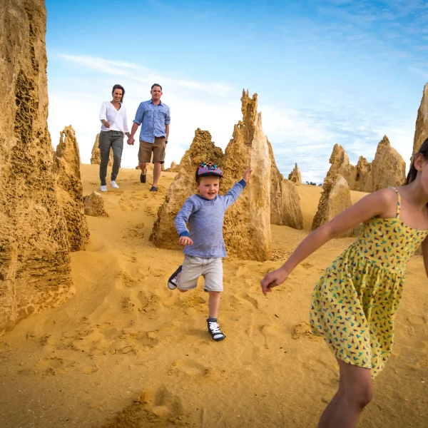 pinnacle tours