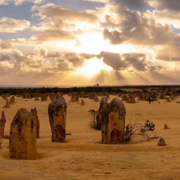 pinnacle tours perth