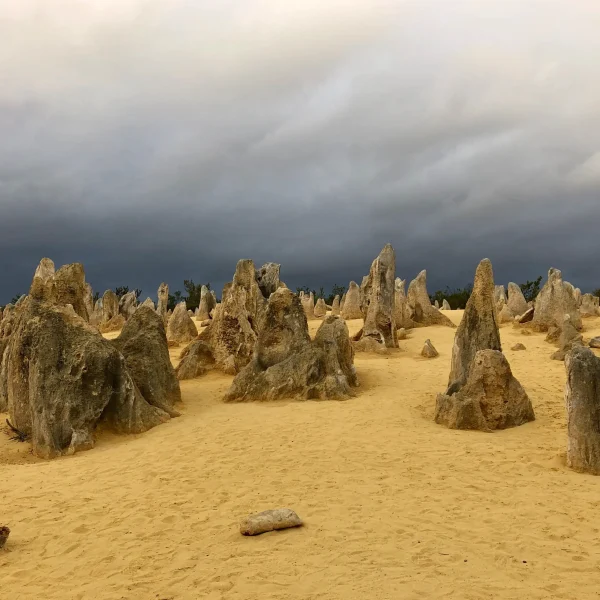 pinnacles day tour