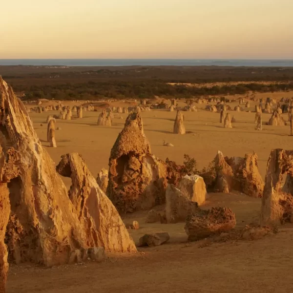 pinnacles day tour