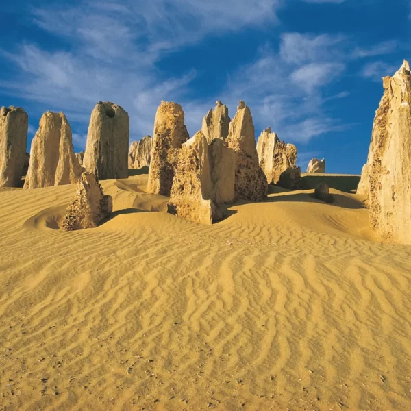 pinnacles desert tour