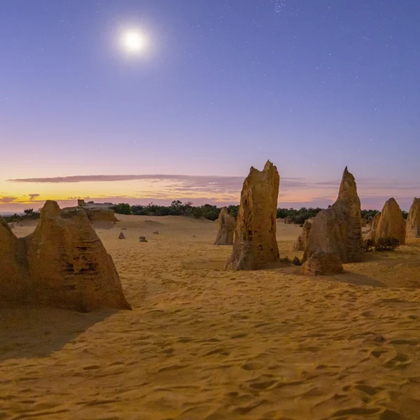 pinnacles night tour
