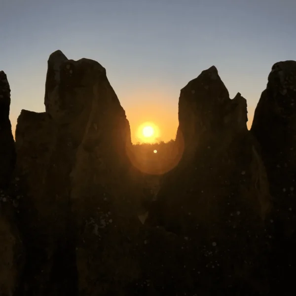 pinnacles perth tour
