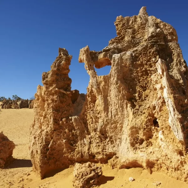 pinnacles tour cheap