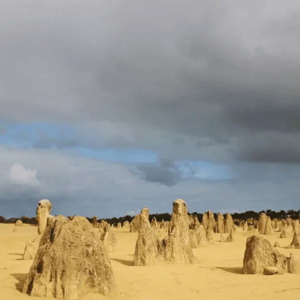pinnacles tour from perth