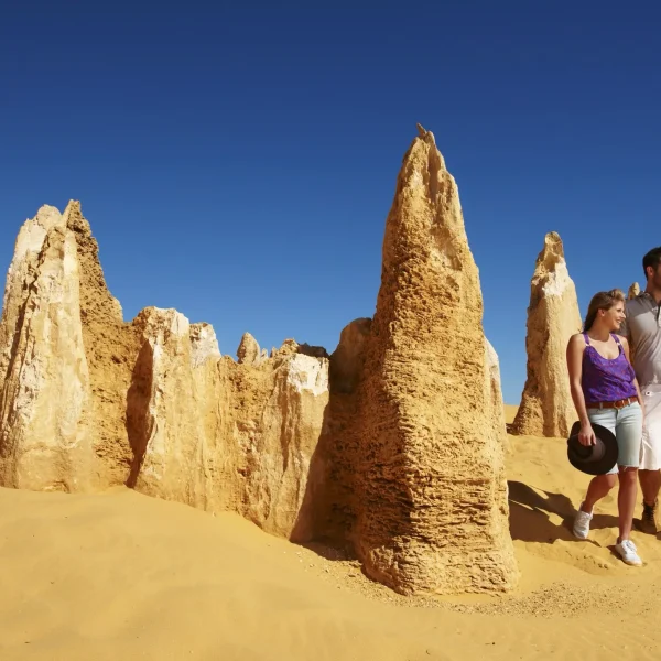pinnacles tours