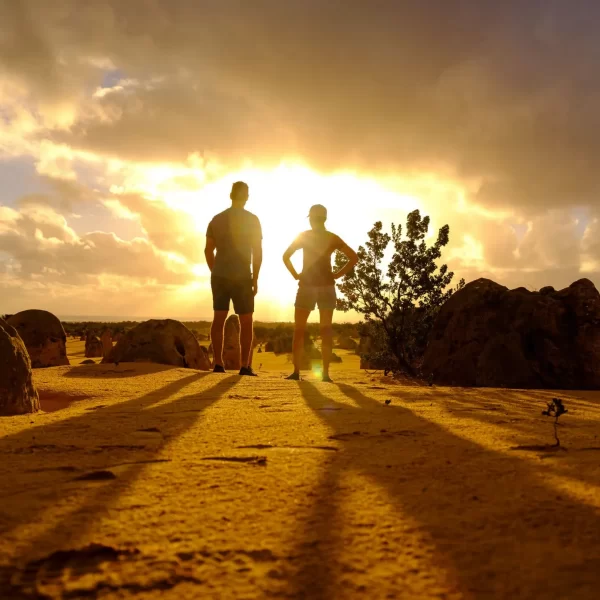 pinnacles tours
