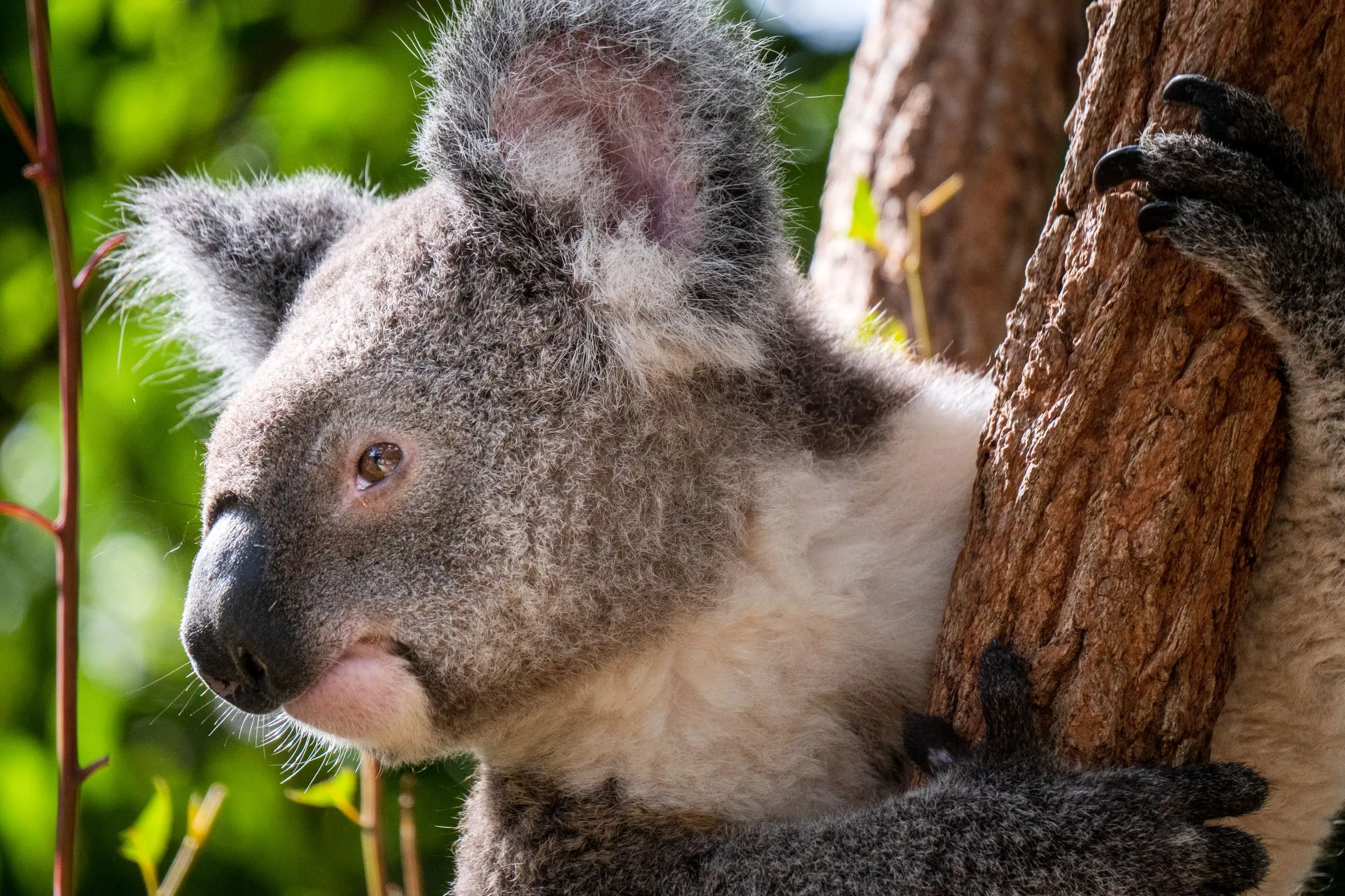places to travel in queensland
