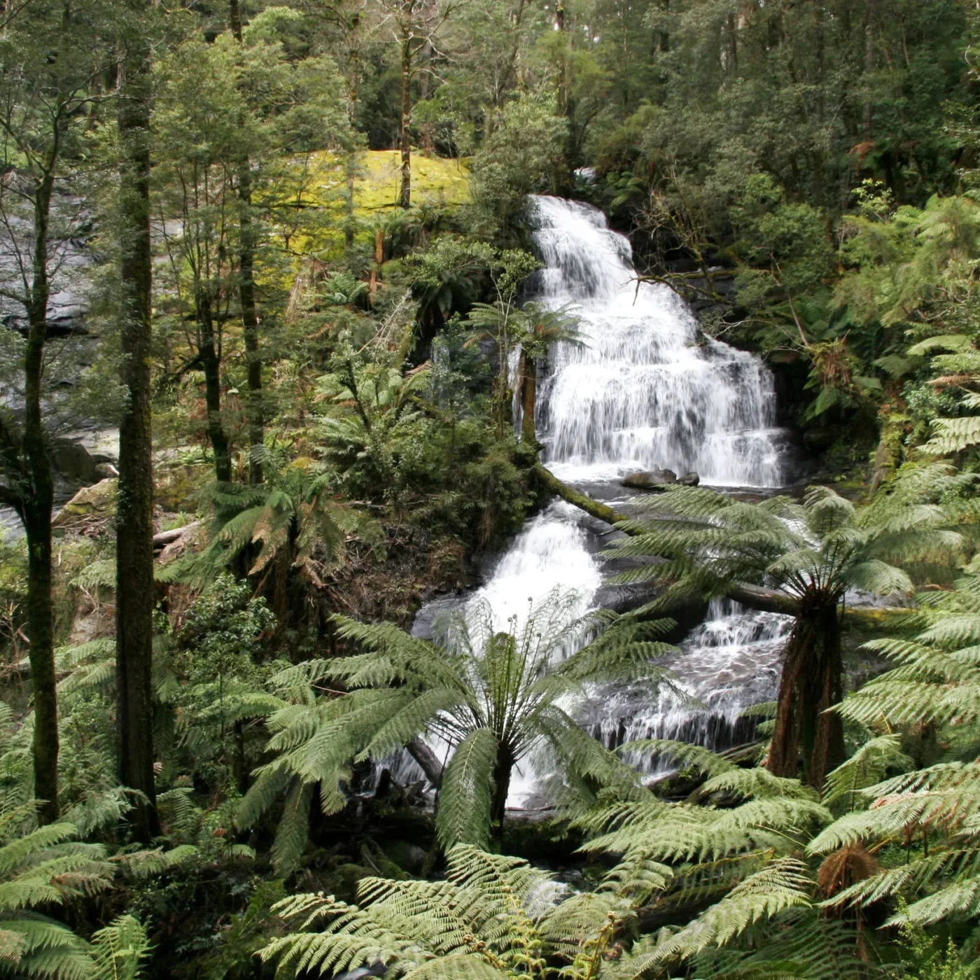 places to travel in victoria