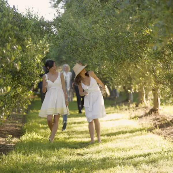 private mornington peninsula wine tours