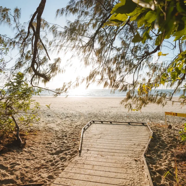 private single 3 day daintree tour