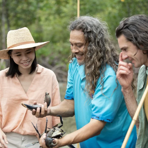 queensland 9 day escorted nature tour
