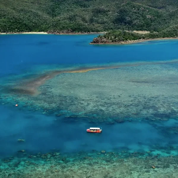 queensland coastal adventure tour 7 days