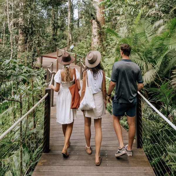queensland nature & wildlife tour