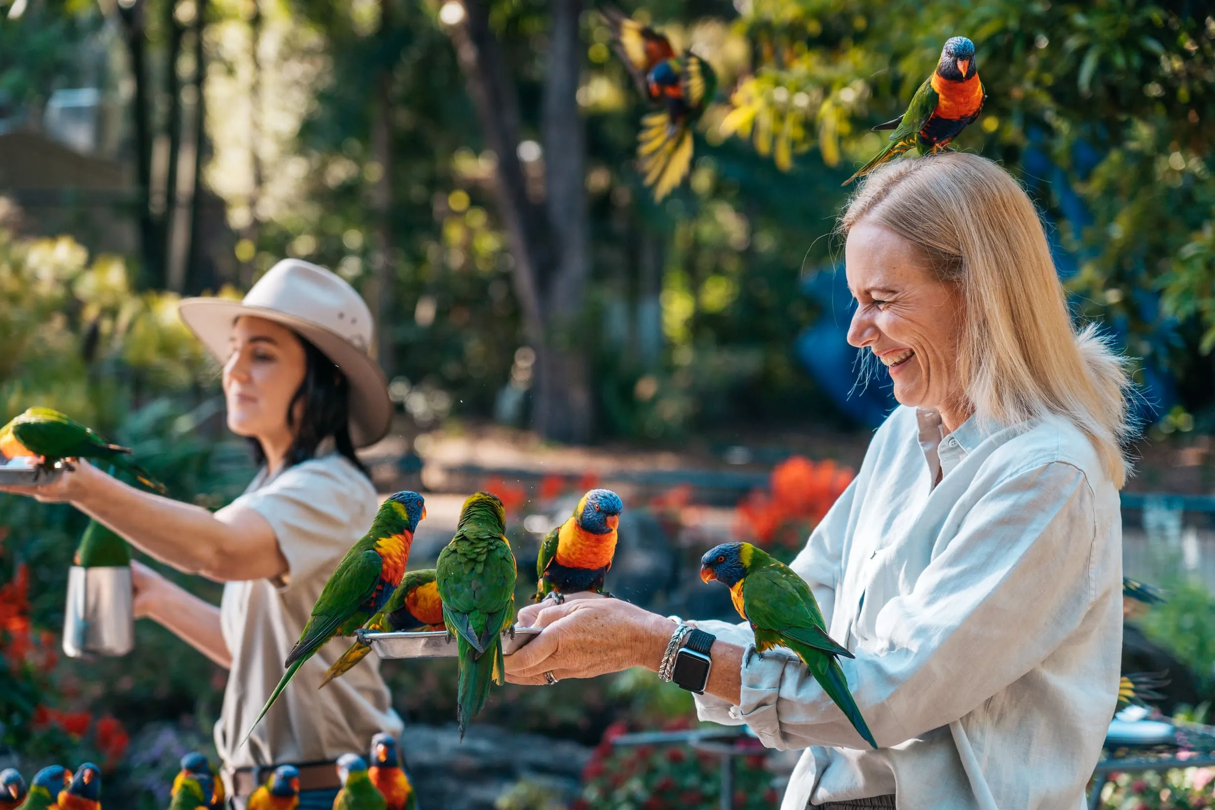 queensland sightseeing