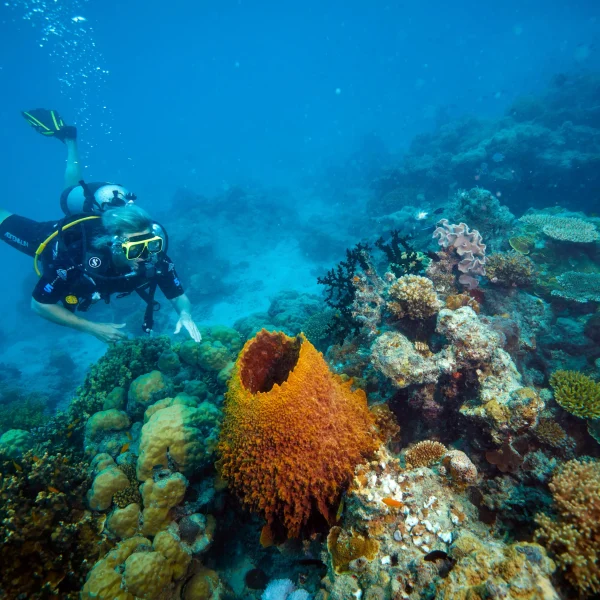 reef and rainforest small group tour