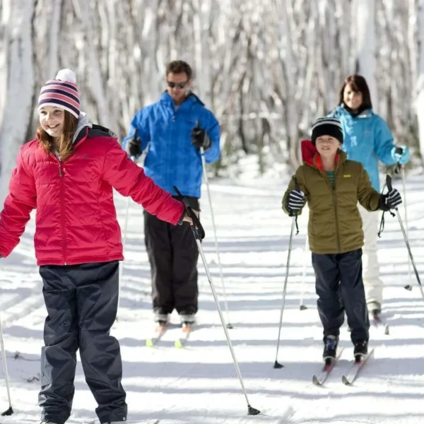 snowy mountain tour