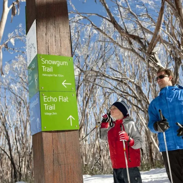 day trip to snow from melbourne