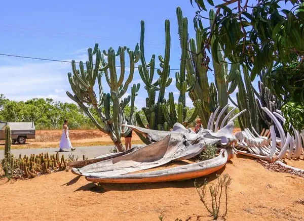 small group tours western australia