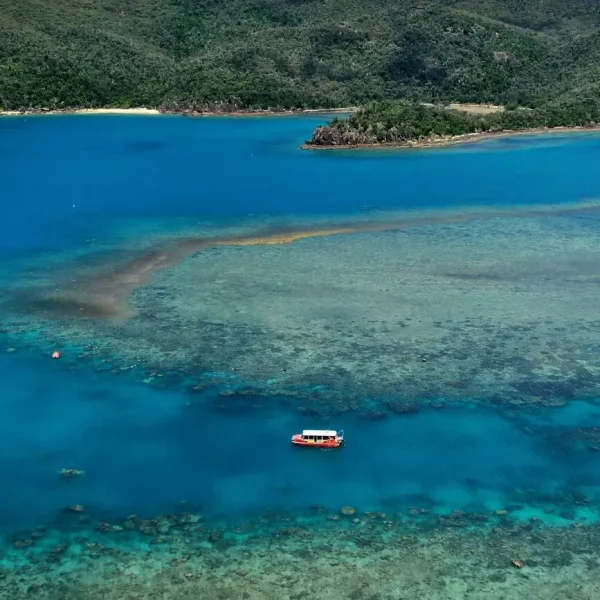 snorkel great barrier reef queensland tour
