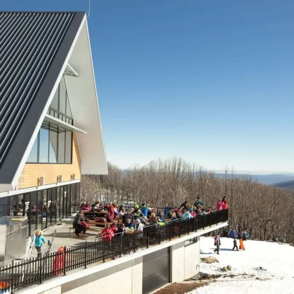 snowy mountain 1 day tour
