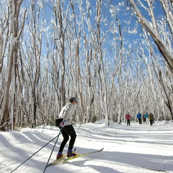 snow trip melbourne