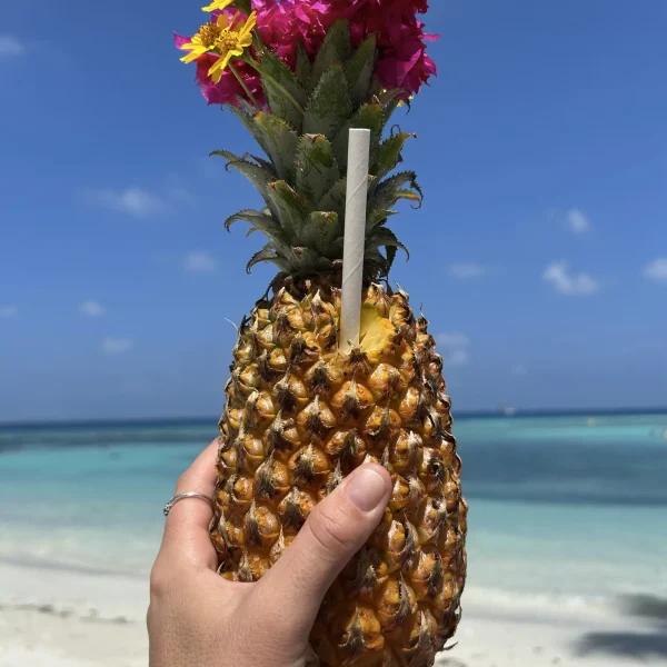 srilanka and maldives tour