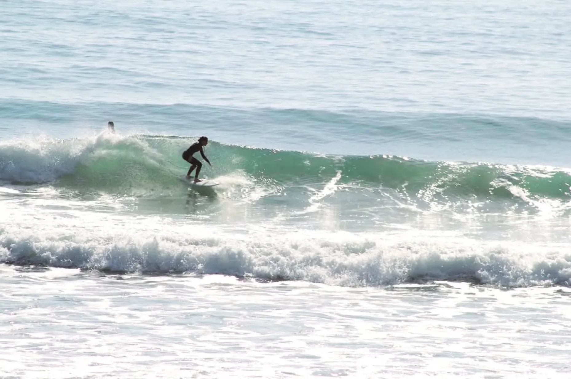 surf Kitty Miller Bay