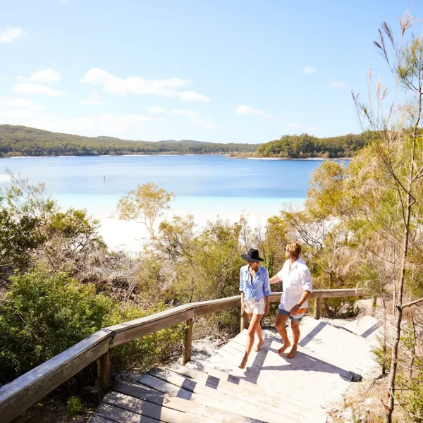 sydney to brisbane bus tour