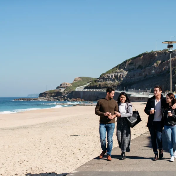 sydney to brisbane bus tours
