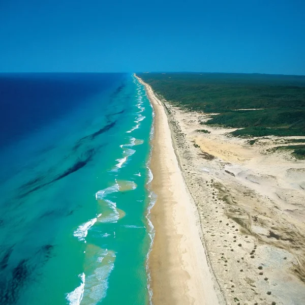 sydney to brisbane tour