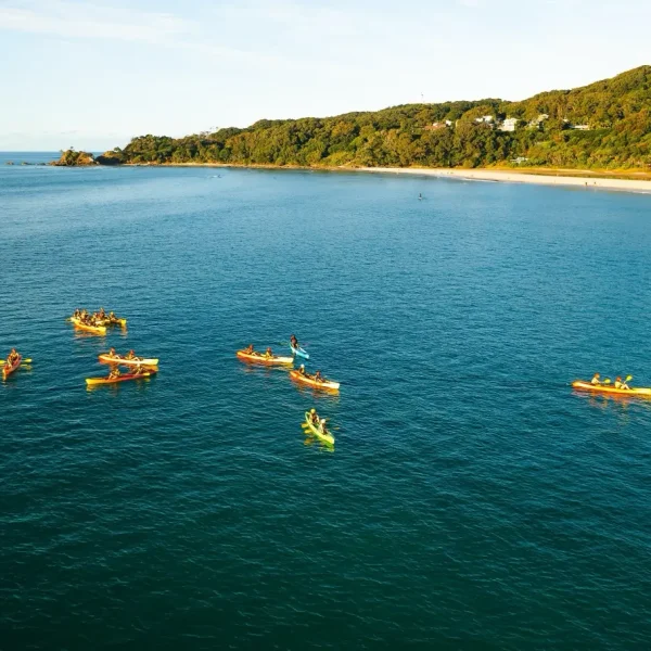 sydney to brisbane travel australia