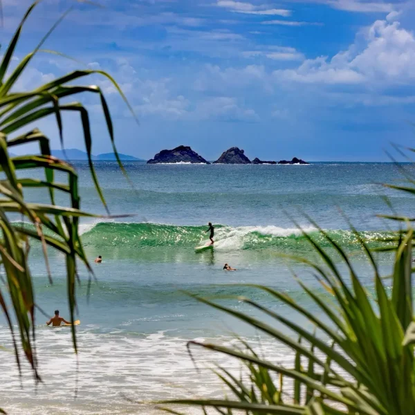 sydney to cairns 14 days tour